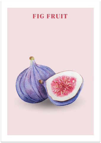 Fig Fruit Poster
