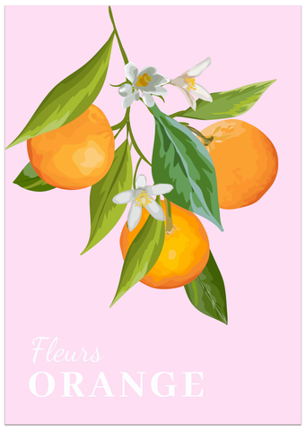 Fleurs Orange Poster