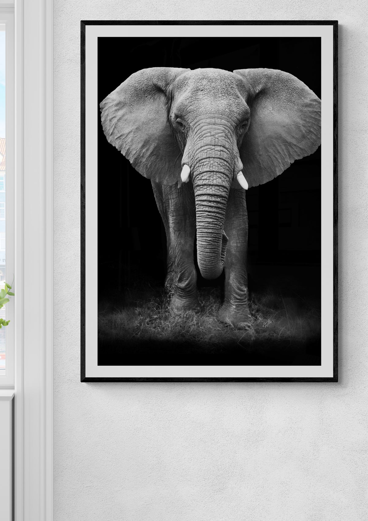 Majestätischer Elefant Poster