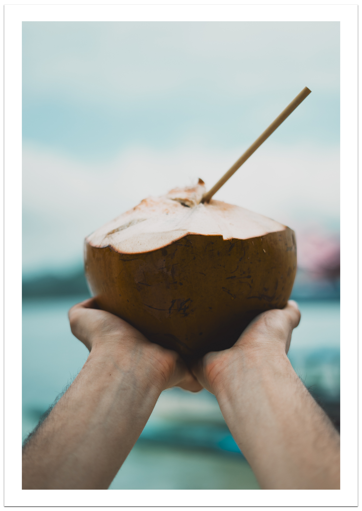 Kokosnuss Oase Poster