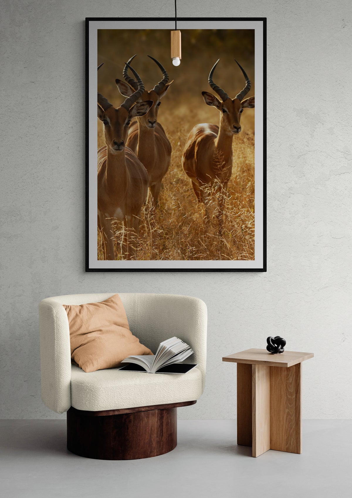 Elegante Gazellen Poster