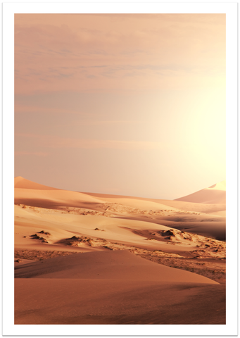 Die Sonnengetränkte Wüste Poster